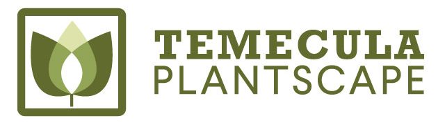 Temecula Plantscape
